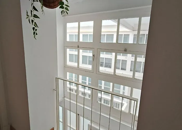 Robles-mercado * Cádiz