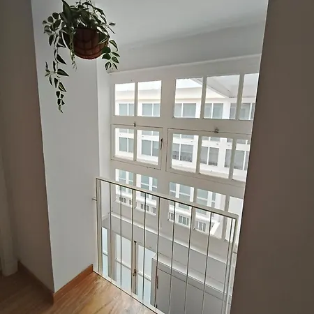 Robles-mercado * Cádiz