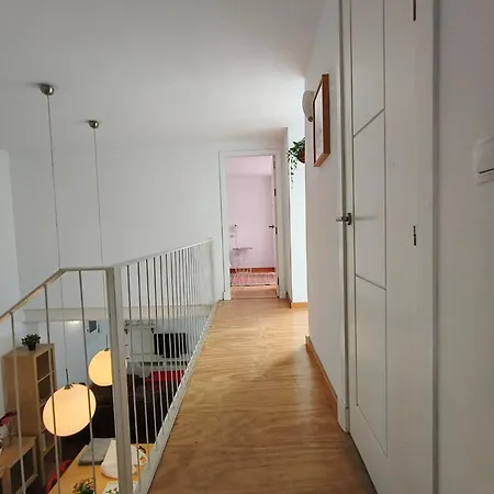 Robles-mercado * Cádiz